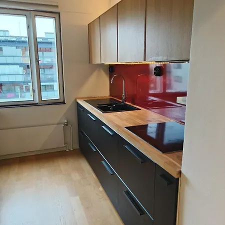 With A View Of The Aura River Apartamento